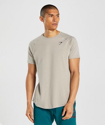 Gymshark Bold T Shirts Herr Grå | SE 3880LIS
